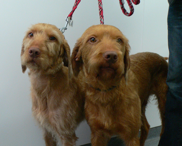Dave and Skud – Itching to be the first!