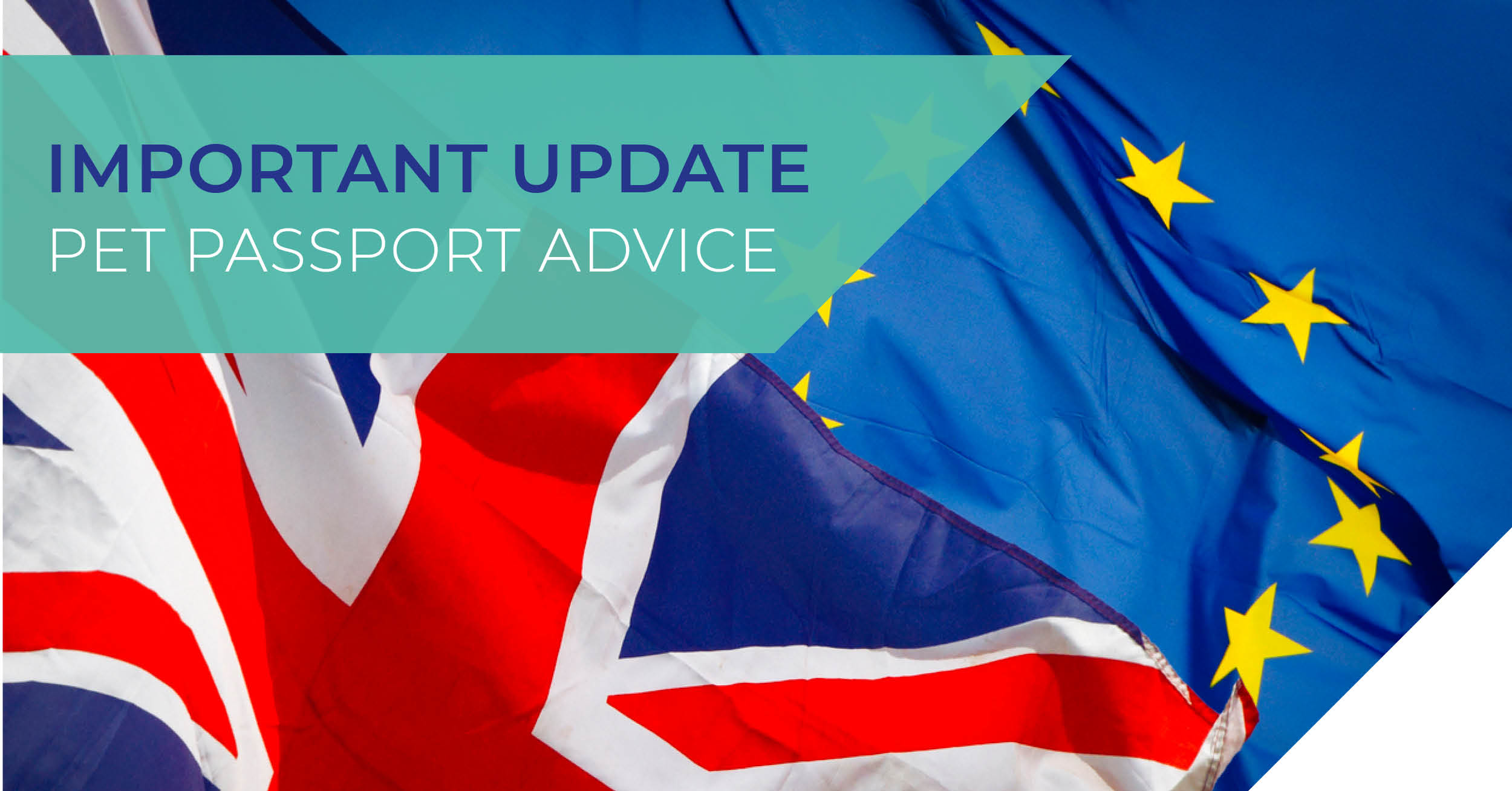 Pet Travel to Europe from 1st January 2021