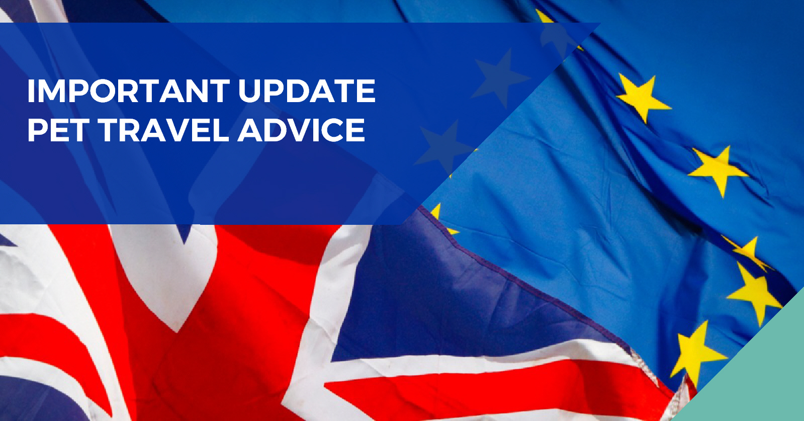 Pet passports no longer valid from 1st January 2021