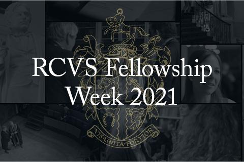Chris Shales to present at RCVS Fellowship Week