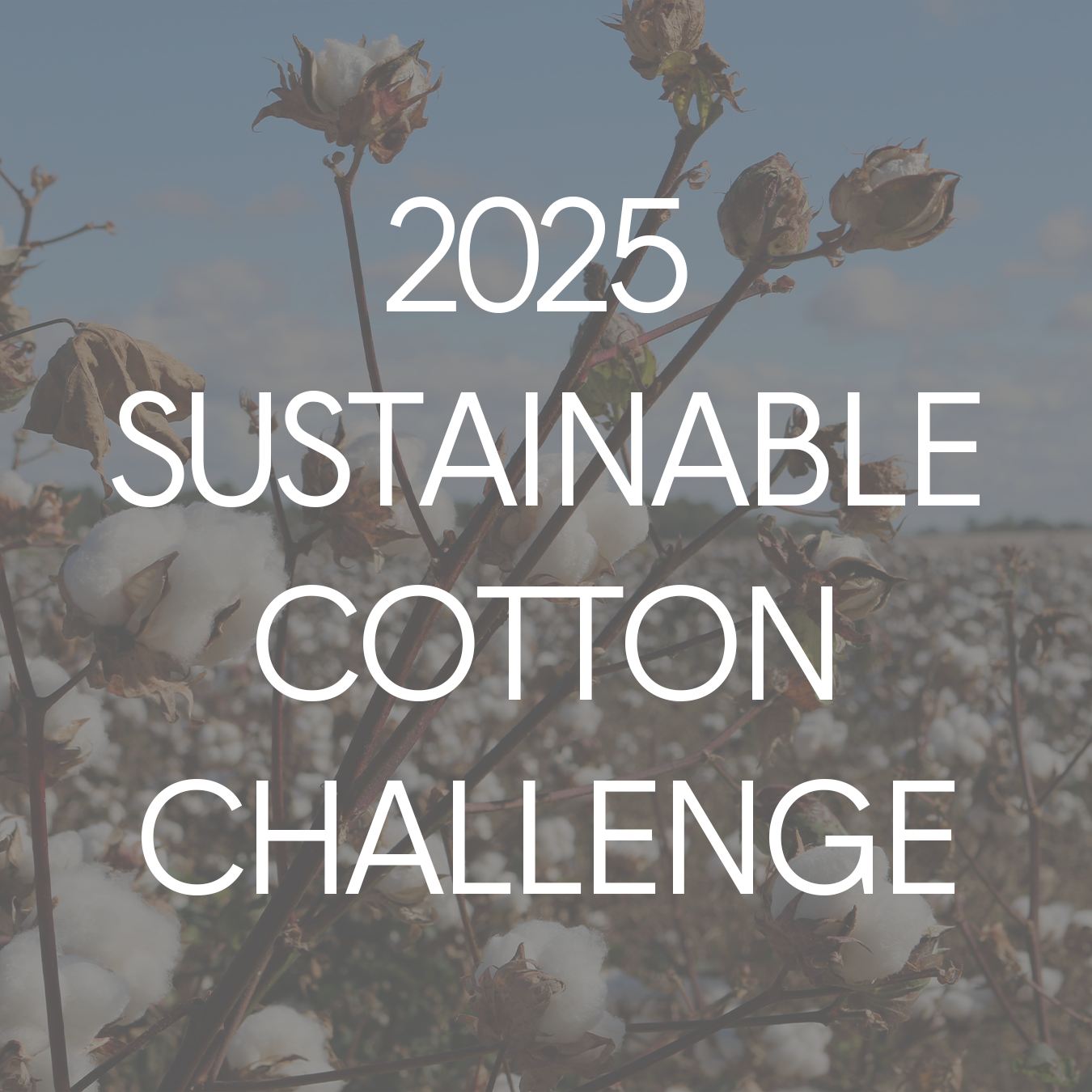 2025 LOGO 2025 LOGO